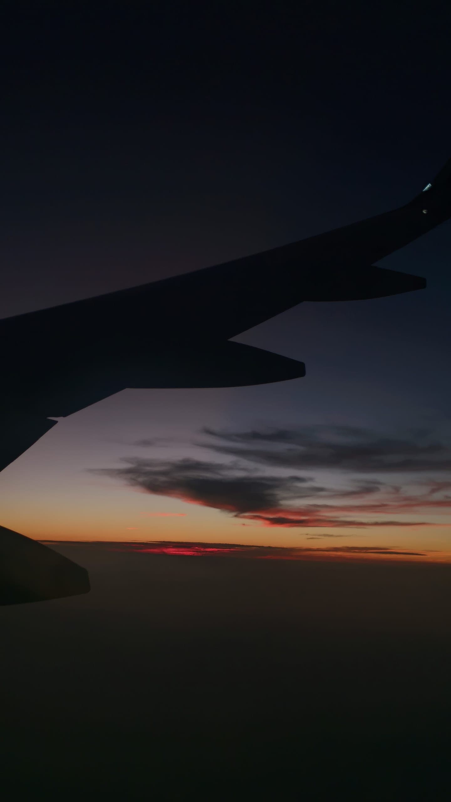 flight, evening